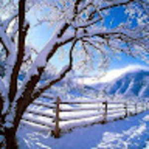 Meet your Posher, Brad